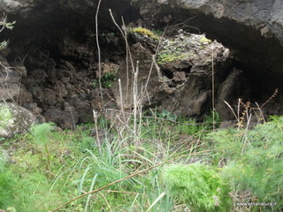 conco di Liricio-24-03-2013 12-58-02